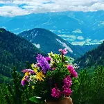 Neues Luxus Dachstein - - Inklusive Sommercard! 람자우 암 다흐스타인