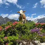아파트 Neues Luxus Dachstein - - Inklusive Sommercard!