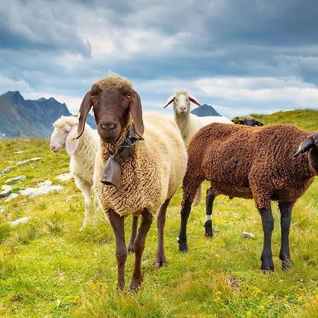 Neues Luxus Dachstein - - Schladming Dachstein *