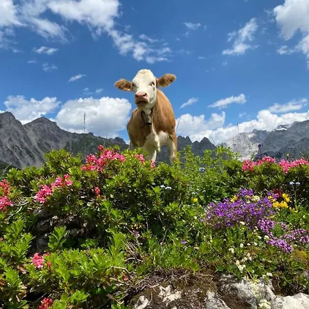 아파트 Neues Luxus Dachstein - - Schladming Dachstein