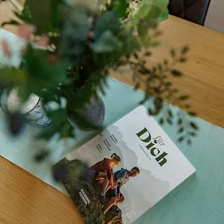 Neues Luxus Dachstein - - Schladming Dachstein 람자우 암 다흐스타인