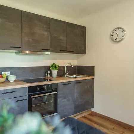 Neues Luxus Dachstein - - Schladming Dachstein 람자우 암 다흐스타인