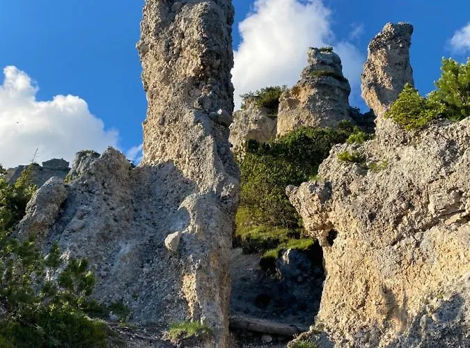 Lejlighed Neues Luxus Dachstein - - Direkt An Der Loipe