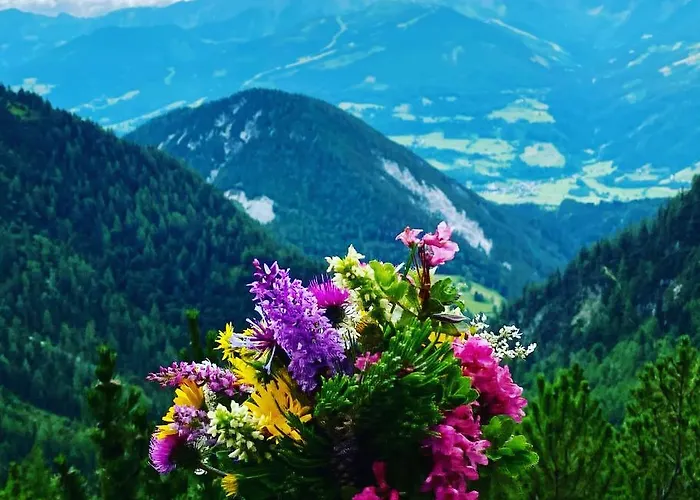 Neues Luxus Dachstein - - Direkt An Der Loipe Ramsau am Dachstein