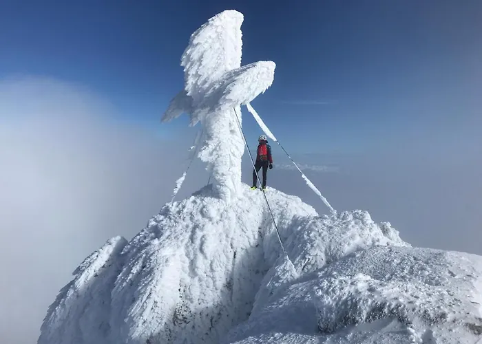 Neues Luxus Dachstein - - Direkt An Der Loipe Lejlighed Ramsau am Dachstein