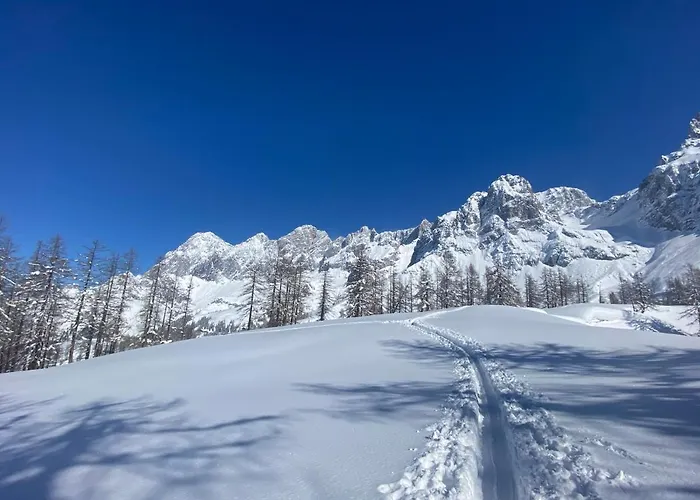 Lejlighed Neues Luxus Dachstein - - Direkt An Der Loipe